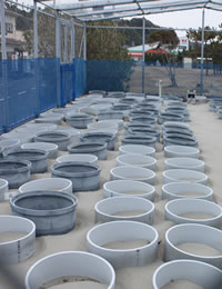 Picture of facility in Omaezaki City