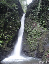 Picture of Kappu Falls