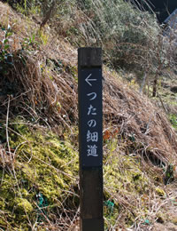 つたの細道の写真
