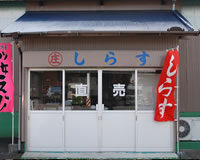 しらすのお店の写真