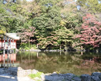 湧玉池の写真