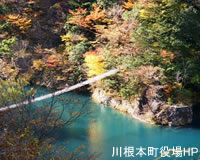 つり橋の写真