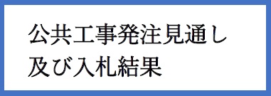 公共工事の入札及び契約の適正化の促進に関する法律に係る情報の公表