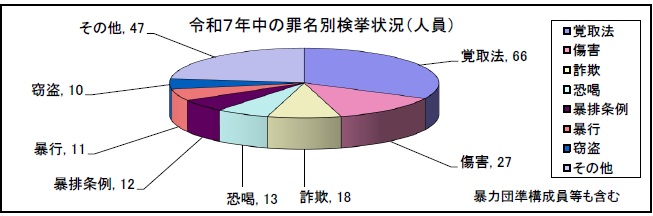 グラフ：罪名別検挙状況