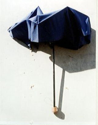 写真：折り畳み傘
