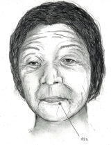 似顔絵：50～70歳位の女性