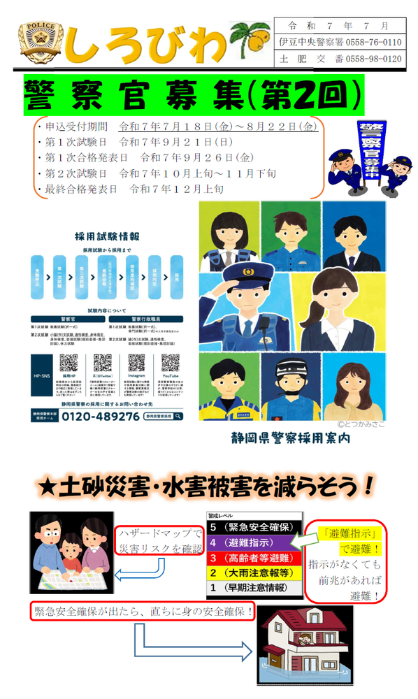 チラシの写真：土肥交番速報「しろびわ」