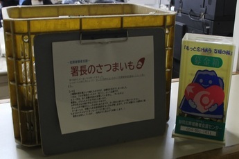 写真:署長のさつまいも