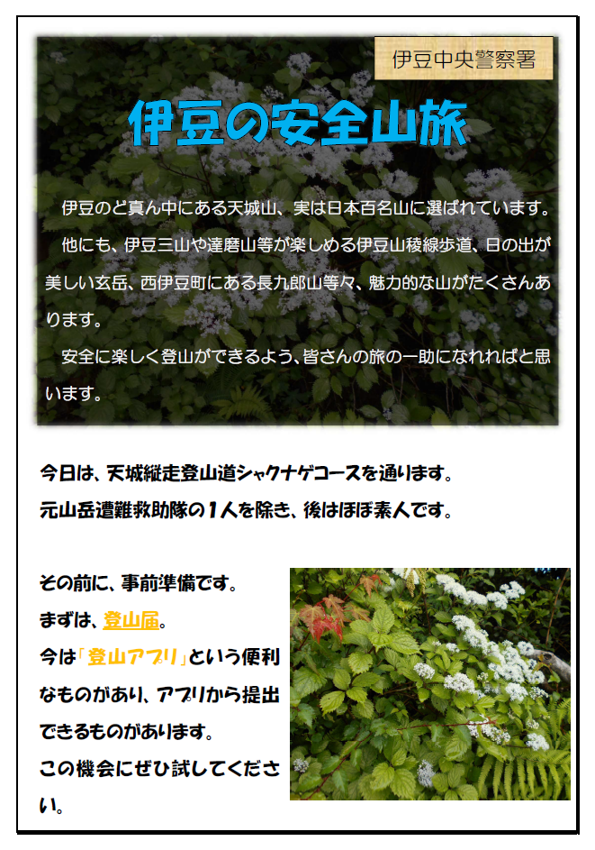チラシ：伊豆の安全山旅