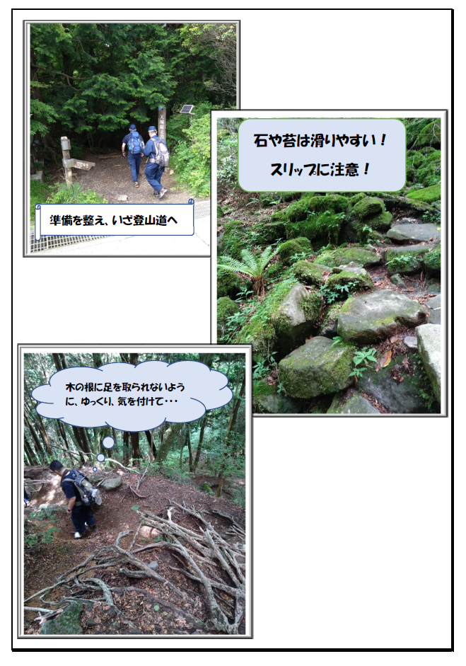 チラシ：伊豆の安全山旅