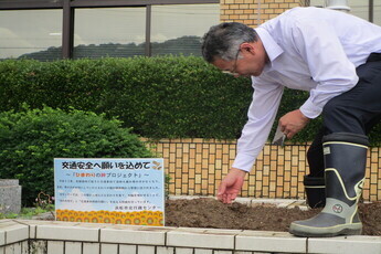 写真：浜松市北行政センターで「ひまわりの絆プロジェクト」開始