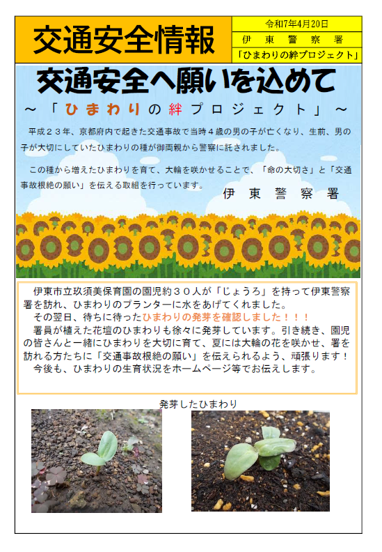 チラシ：ひまわりの絆プロジェクト（伊東警察署）