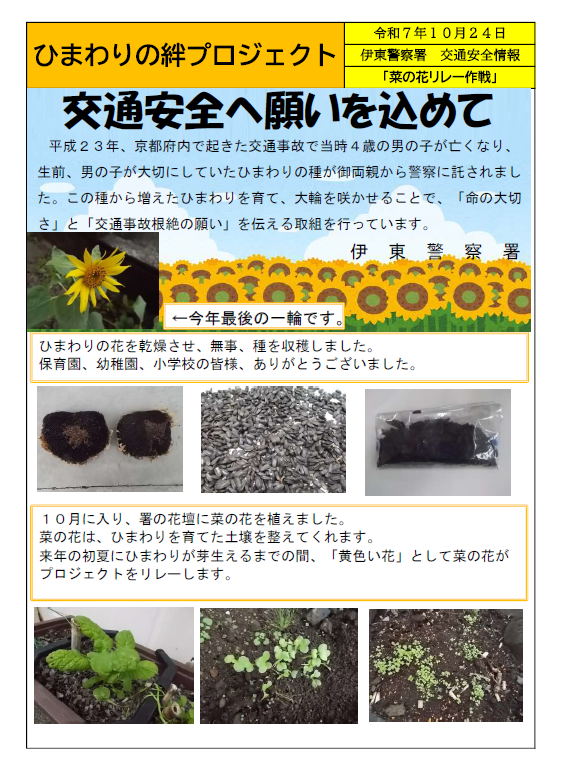 チラシ:ひまわりの絆プロジェクト(伊東警察署)