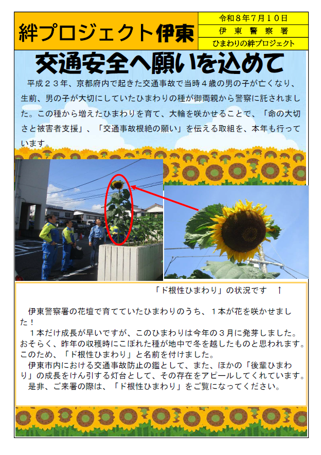 チラシ:ひまわりの絆プロジェクト