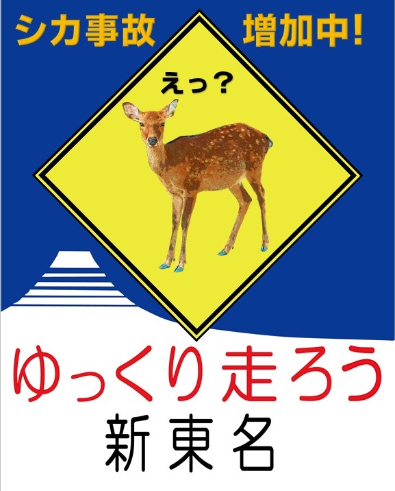 画像:シカ事故増加中