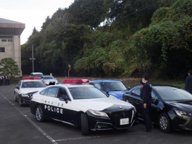 写真：訓練の様子